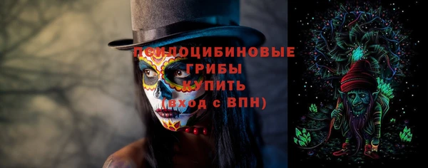 эйфоретик Алзамай