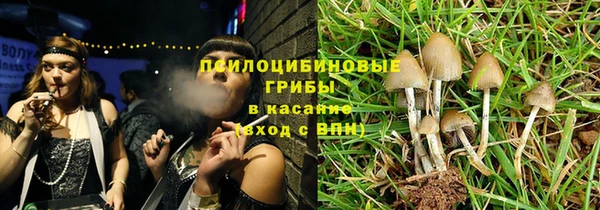 эйфоретик Алзамай