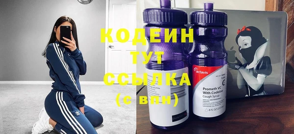 эйфоретик Алзамай
