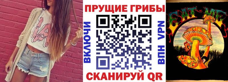 Псилоцибиновые грибы мицелий Нурлат