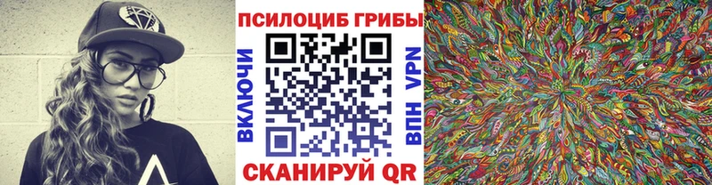 Псилоцибиновые грибы Psilocybe  как найти закладки  кракен сайт  Нурлат 