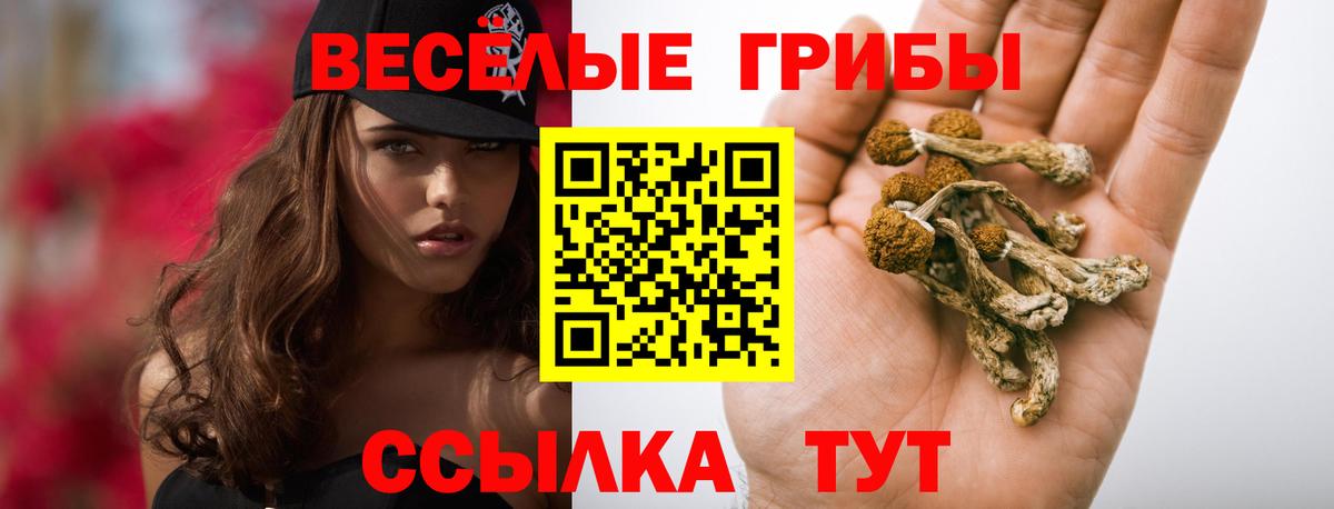 Псилоцибиновые грибы мухоморы Нурлат